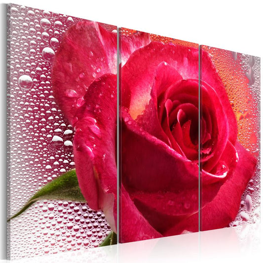 Wandbild - Lady Rose - triptych