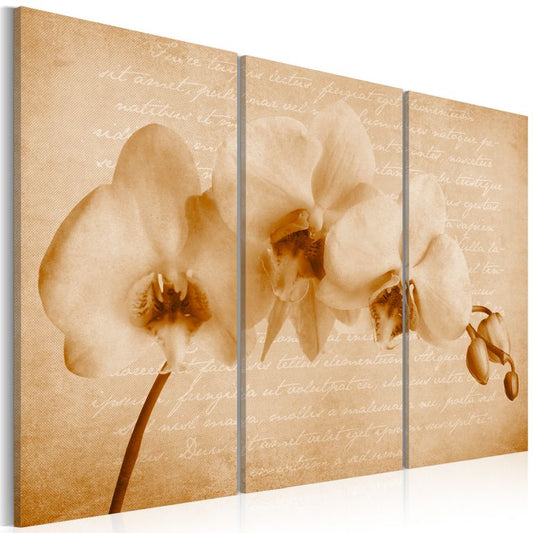 Wandbild - Orchidee (Vintage)