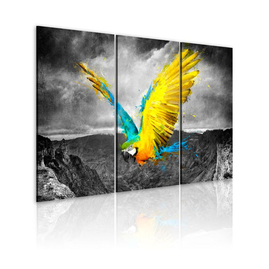 Wandbild - Paradiesvogel - Triptychon