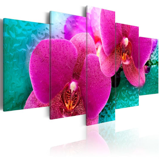 Wandbild - Exotic orchids