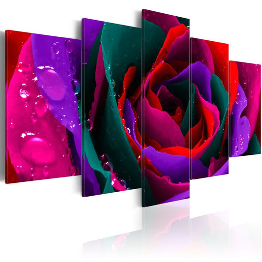 Wandbild - Multicoloured rose