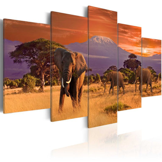 Wandbild - Africa: Elephants