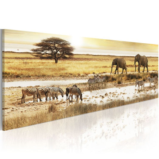 Wandbild - Africa: at the waterhole