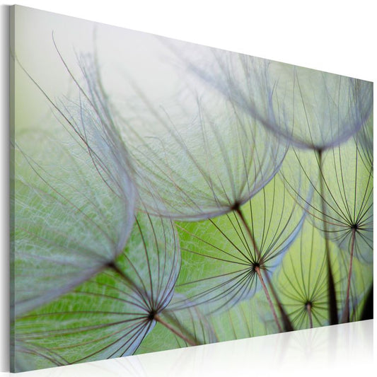 Wandbild - Dandelion in the wind