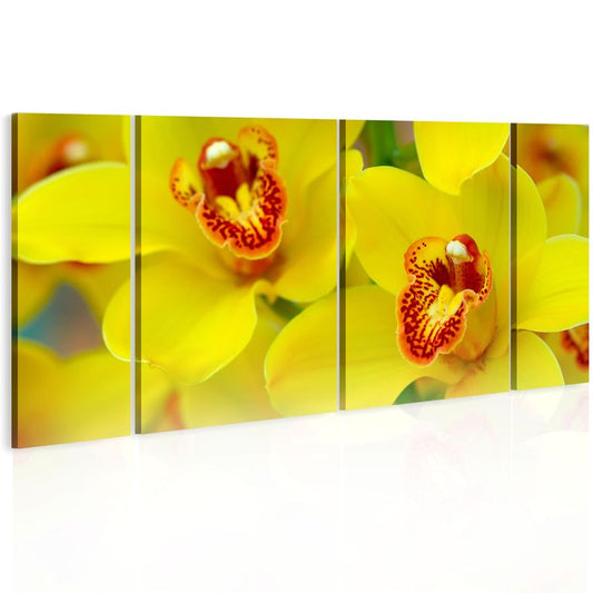 Wandbild - Orchids - intensity of yellow color