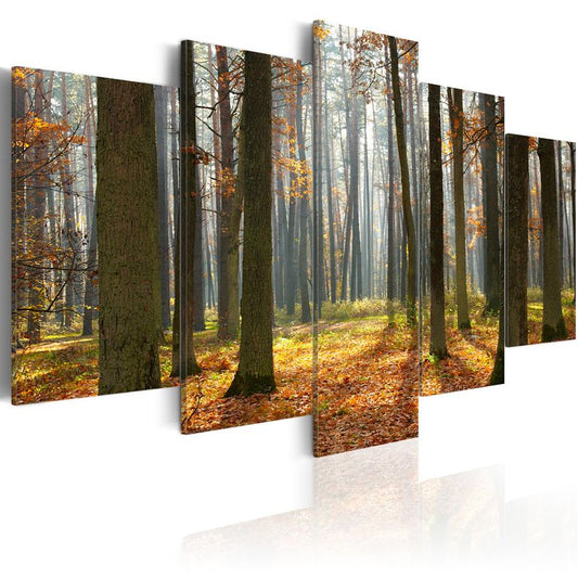 Wandbild - Malerische Waldlandschaft