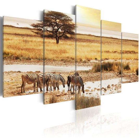 Wandbild - Zebras in der Savanne