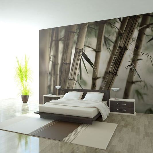 Fototapete - Fog and bamboo forest 450x270 cm