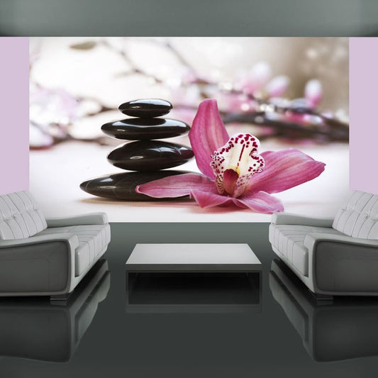 Fototapete - Relaxation and Wellness 450x270 cm