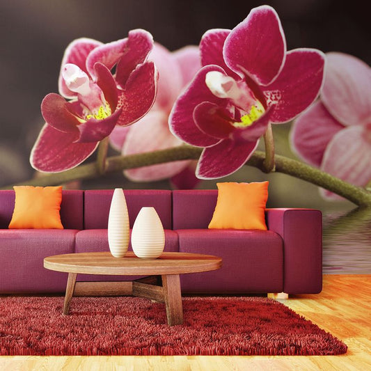 Fototapete - Delikate Orchideen auf Wasser 450x270 cm