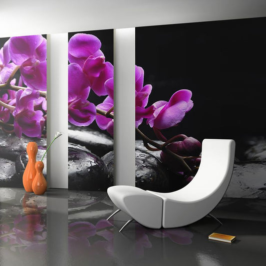 Fototapete - Pure Harmonie: Orchidee und Zen-Steine 450x270 cm