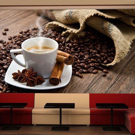 Fototapete - Star anise coffee 450x270 cm