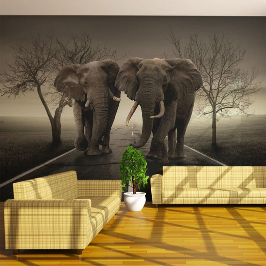 Fototapete - City of elephants 450x270 cm