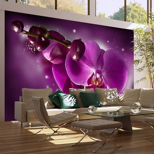 Fototapete - Märchen und Orchidee 450x270 cm