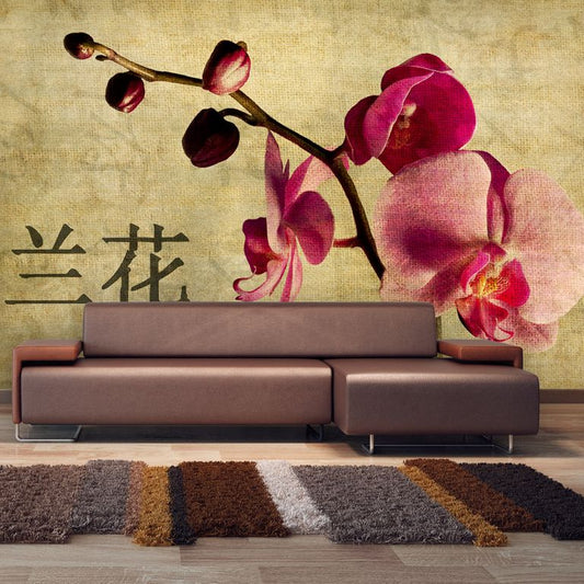 Fototapete - Japanese orchid 450x270 cm