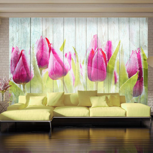 Fototapete - Tulips on white wood