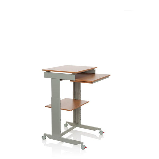 Computertisch 60x50 cm WORKSTATION Grau / Buche