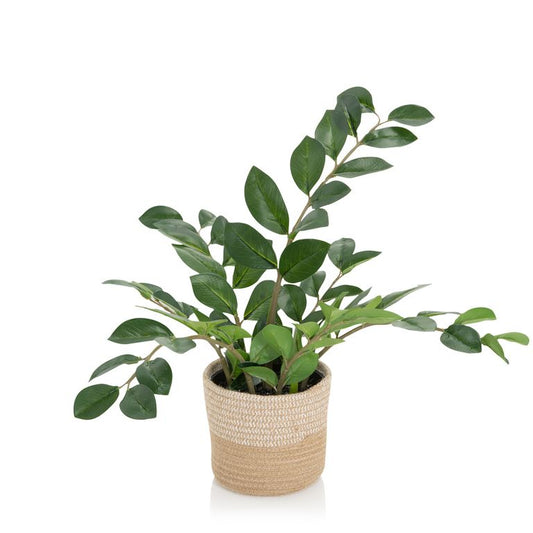 Kunstpflanze ZAMIE Zamioculcas Grün