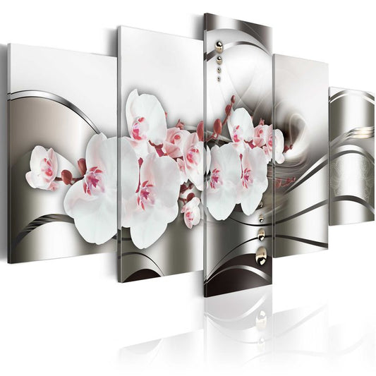 Wandbild - The beauty of orchids