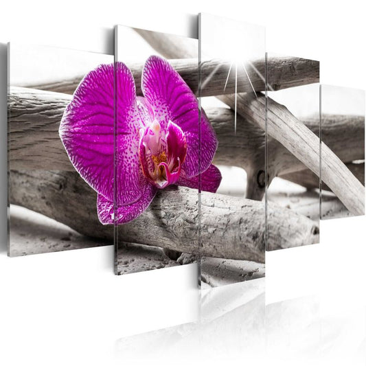 Wandbild - Orchid on beach