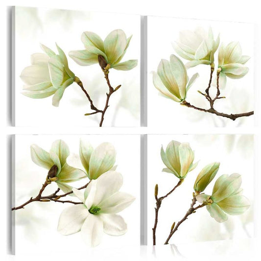 Wandbild - Bewunderung der Magnolie