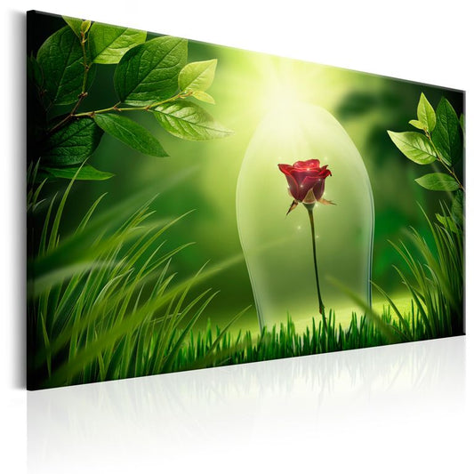 Wandbild - Magical Rose