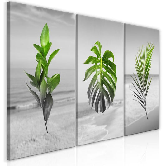 Wandbild - Plants (Collection)