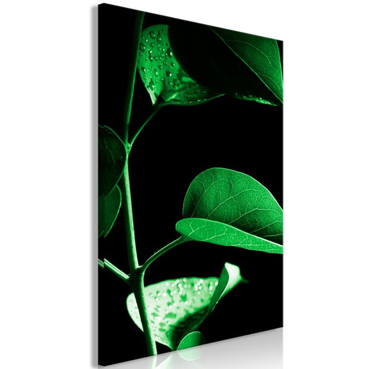 Wandbild - Plant in Black (1 Part) Vertical