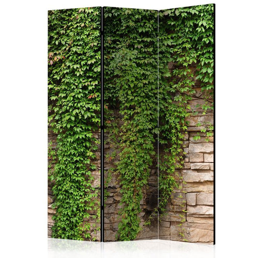 3-teiliges Paravent - Ivy wall [Room Dividers]