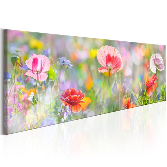 Wandbild - Rainbow of Morning Poppies