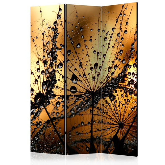 3-teiliges Paravent - Dandelions in the Rain [Room Dividers] 135x172 cm