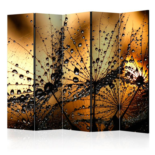 5-teiliges Paravent - Dandelions in the Rain II [Room Dividers] 225x172 cm