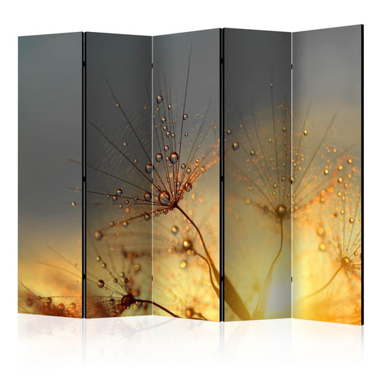 5-teiliges Paravent - Summer Solstice II [Room Dividers] 225x172 cm