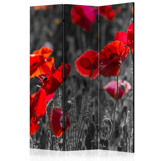 3-teiliges Paravent - Red Poppies [Room Dividers] 135x172 cm