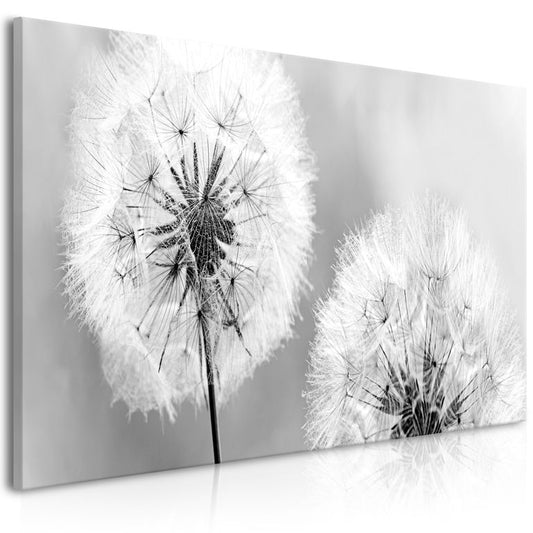 Wandbild - Fluffy Dandelions (1 Part) Grey Wide 100x45 cm