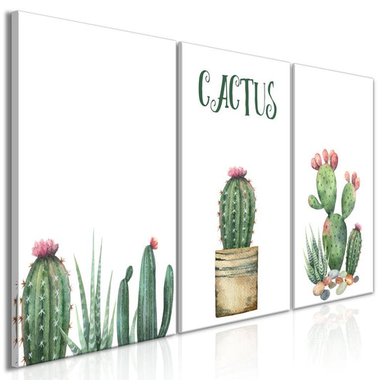 Wandbild - Prickly Flowers (3 Parts) 120x60 cm