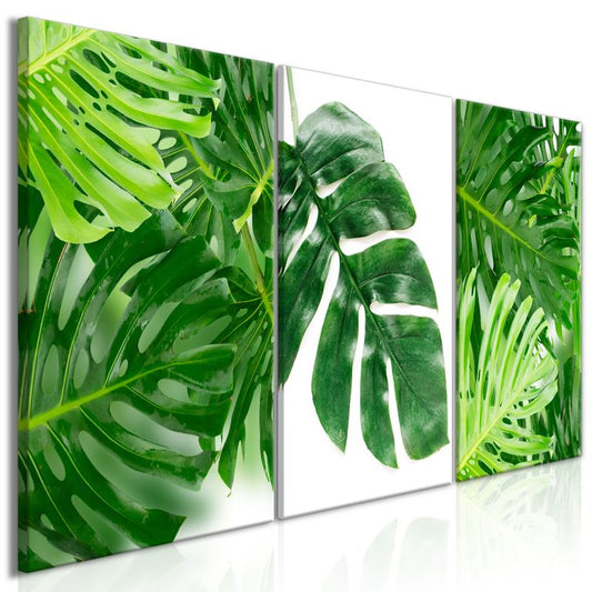 Wandbild - Palm Leaves (3 Parts) 120x60 cm