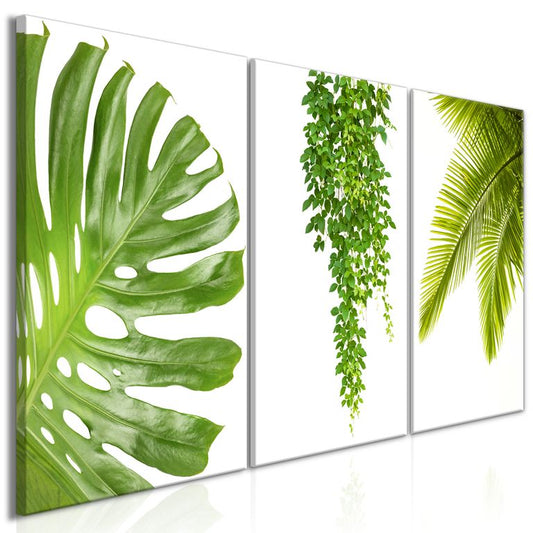 Wandbild - Beautiful Palm Trees (3 Parts) 120x60 cm