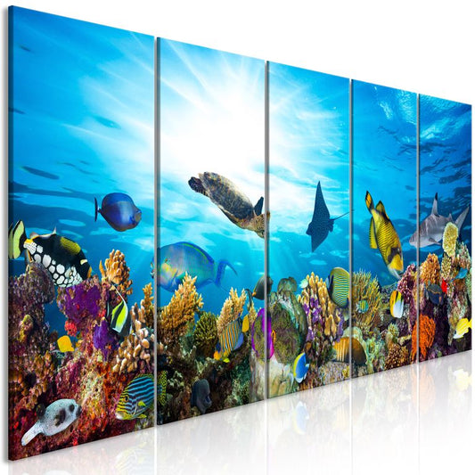 Wandbild - Coral Reef (5 Parts) Narrow 225x90 cm