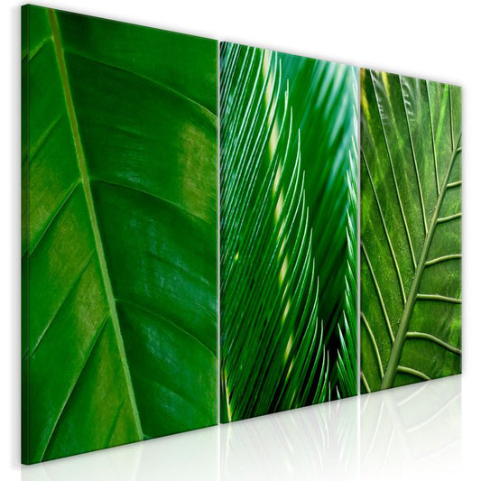 Wandbild - Leaves (Collection)