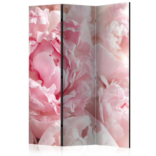 3-teiliges Paravent - Sweet Peonies [Room Dividers] 135x172 cm