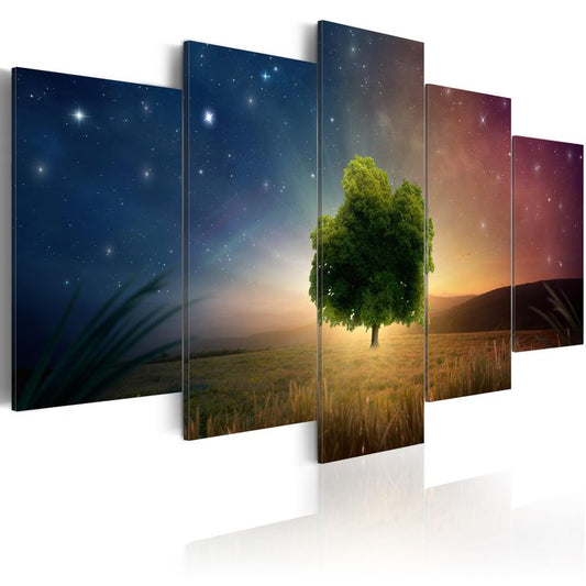 Wandbild - Starry Nights