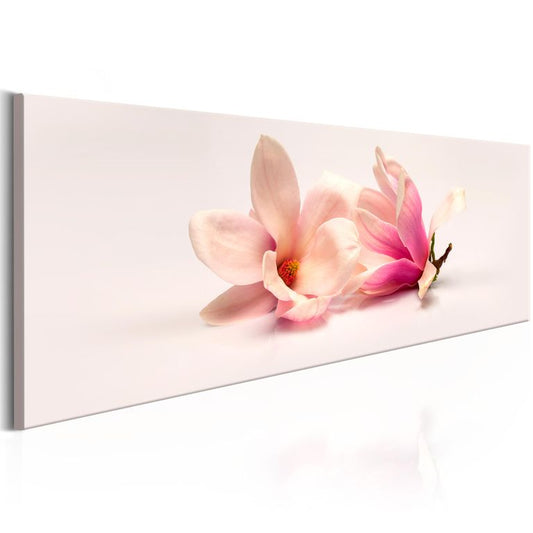 Wandbild - Beautiful Magnolias