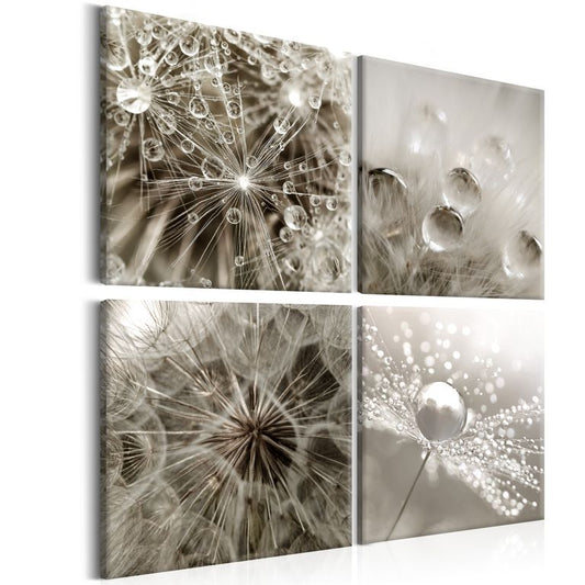 Wandbild - Grey Dandelion