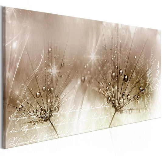 Wandbild - Drops of Dew (1 Part) Brown Wide 100x45 cm