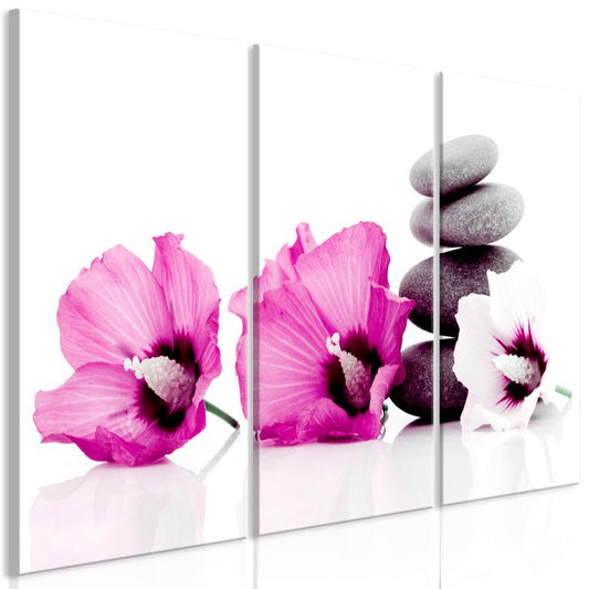 Wandbild - Calm Mallow (3 Parts) Pink