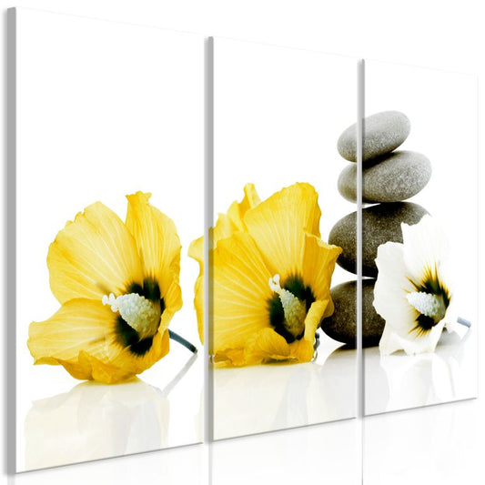 Wandbild - Calm Mallow (3 Parts) Yellow