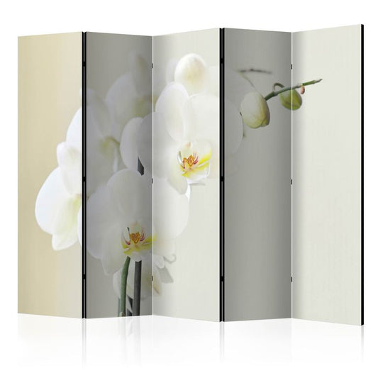 5-teiliges Paravent - White orchid II [Room Dividers]