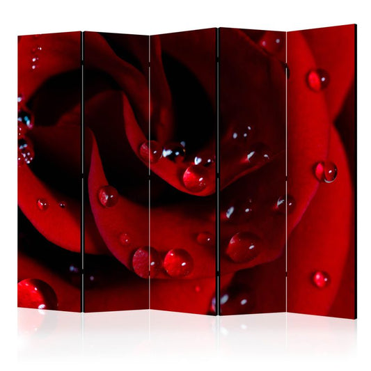 5-teiliges Paravent - Red rose with water drops II [Room Dividers]