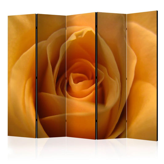 5-teiliges Paravent - Yellow rose - a symbol of friendship II [Room Dividers]